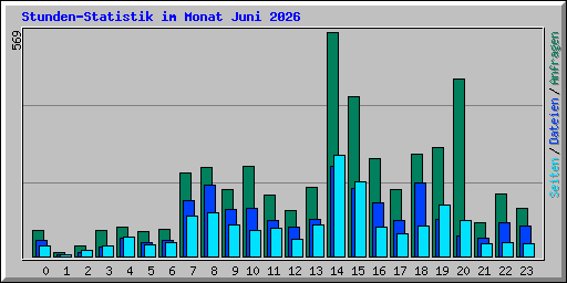 Stunden-Statistik im Monat Juni 2026